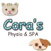 Cora's Physio & Spa